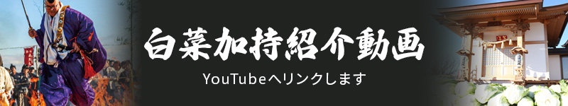 白菜加持紹介動画